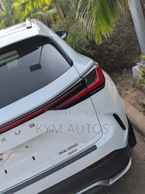 Lexus NX 2022 White