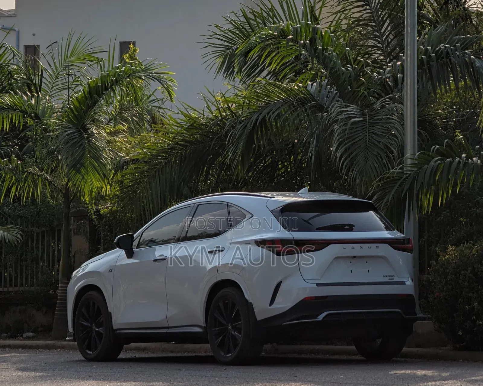 Lexus NX 2022 White