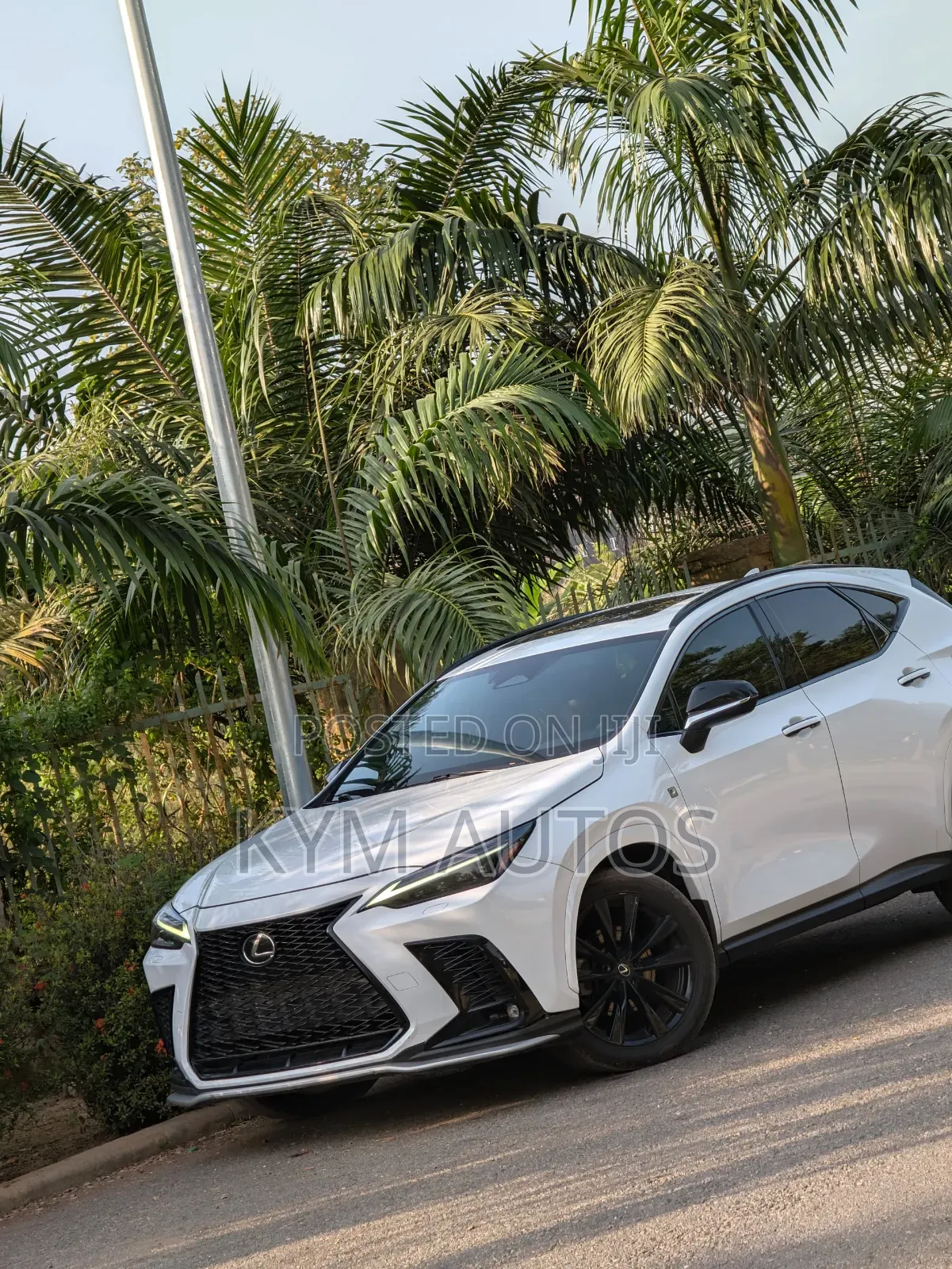 Lexus NX 2022 White