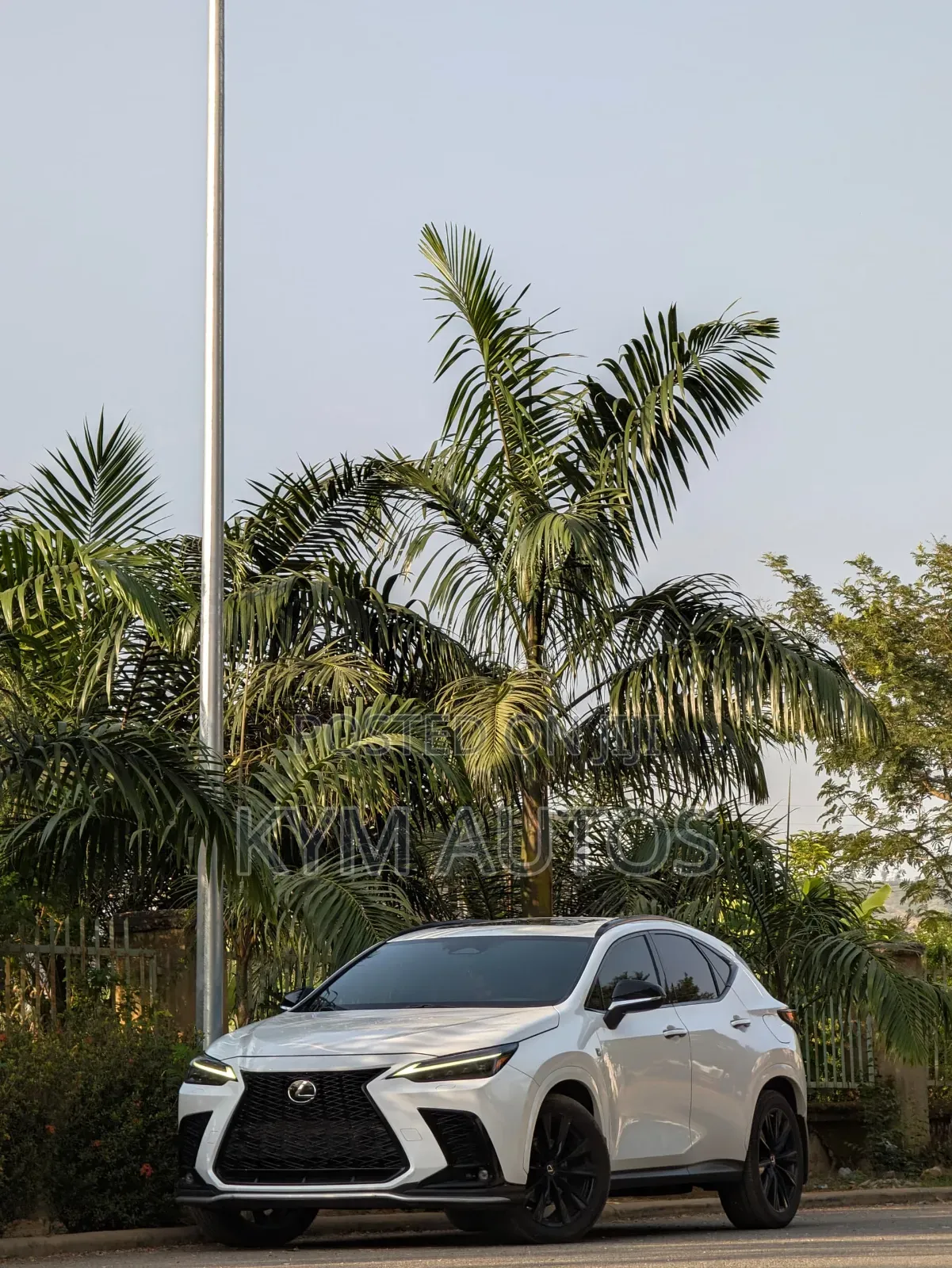Lexus NX 2022 White