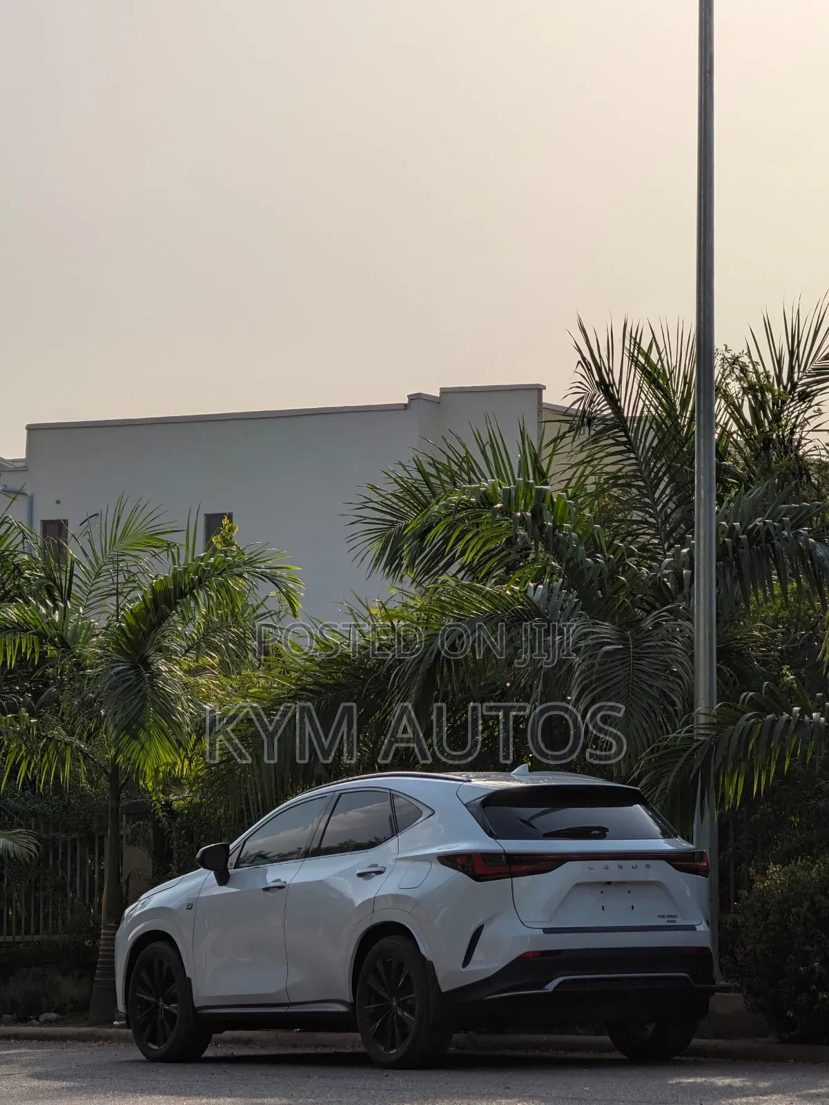 Lexus NX 2022 White