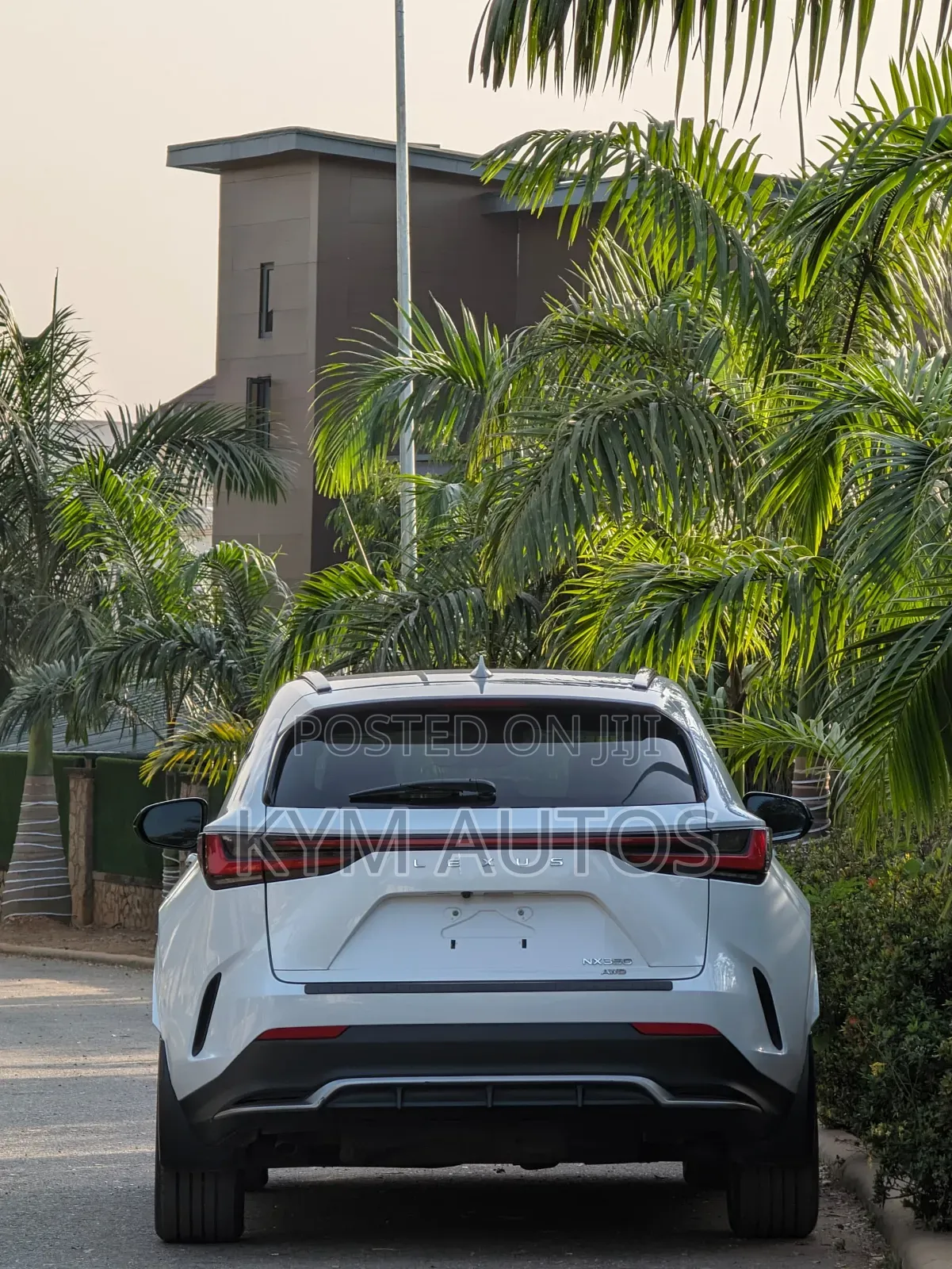 Lexus NX 2022 White