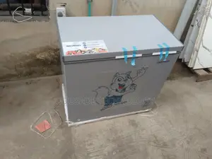 Skyrun BD-250AI 200L Inverter Freezer – Efficient Home Storage