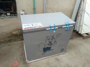 Get More Cooling With Skyrun BD-250AI 200L Inverter Freezer