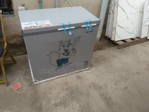 Skyrun BD-250AI 200L Inverter Freezer – Ideal for Homes and Shops