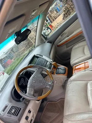 Lexus RX 330 2006 Gray