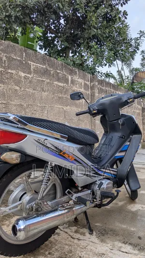 Jincheng Bike 2024 Silver