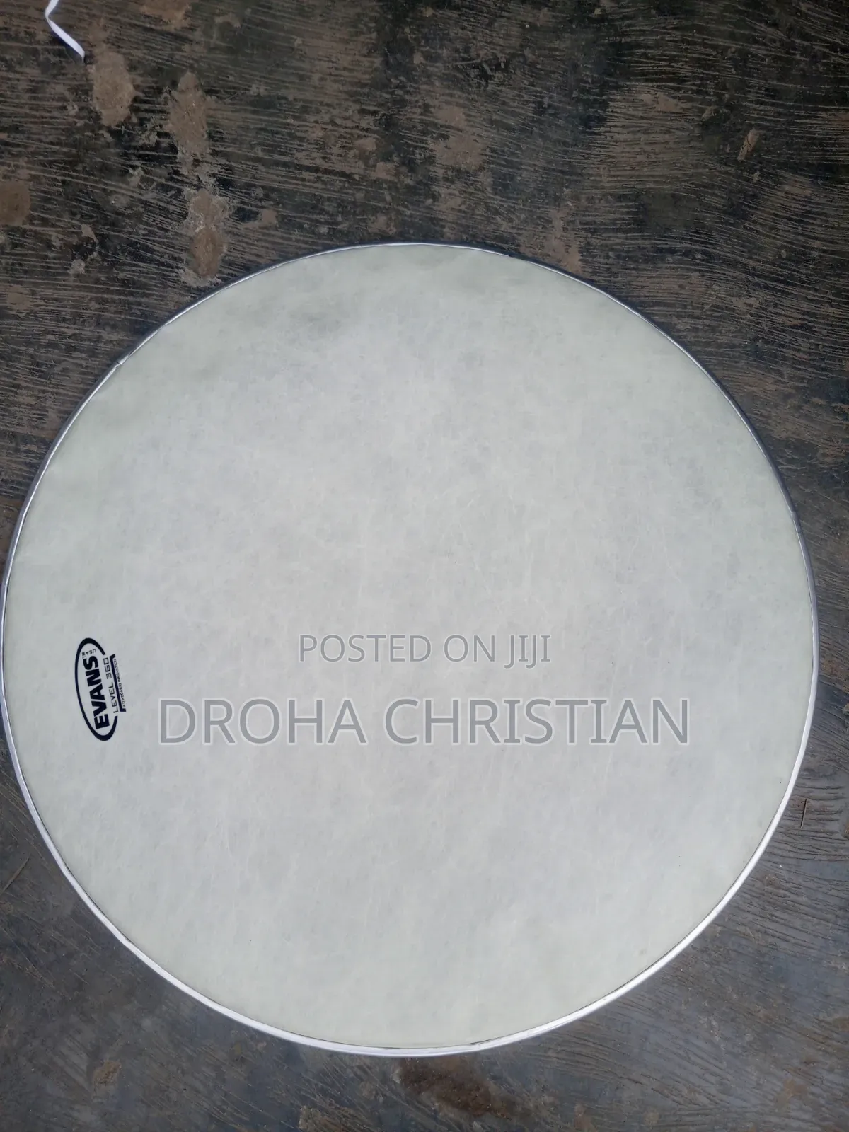 22" Animal Skin Drum Head