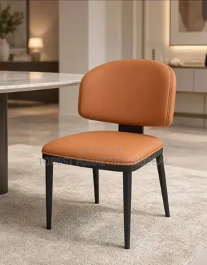 Luxury Modern Dining Chair