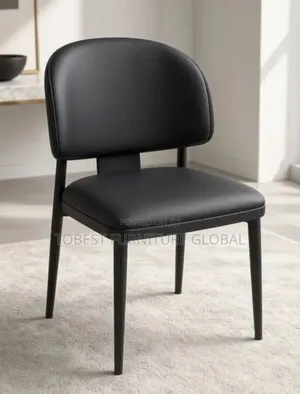 Luxury Modern Dining Chair