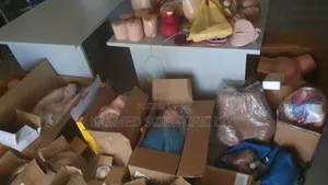 Manikins All Type Assorted Models Medical Laboratory