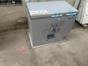 Skyrun BD-250AI 200L Inverter Freezer Perfect Freezing Choice