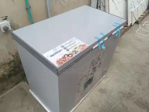 Skyrun BD-250AI 200L Inverter Freezer Great Value for Money