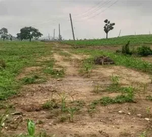 A Plot of Land in Naf Diamond Estate