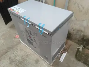 Get Your Skyrun BD-250AI 200L Inverter Freezer at a Great Deal