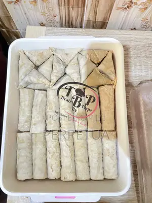 Ready to Fry Samosas and Spring Rolls