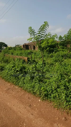 Full Plot of Land Facing Main Road at Laniba, Ajibode Ibadan for Sale