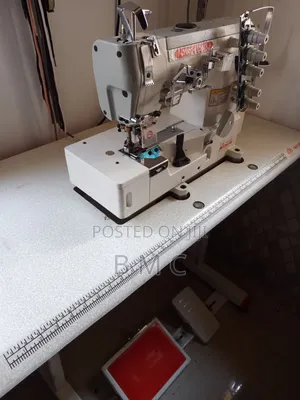 Two Lion Five Thread Direct Drive Industrial Machine
