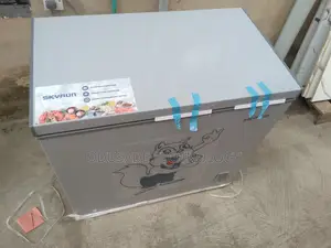 Skyrun BD-250AI 200L Inverter Freezer Excellent Household Appliance