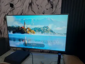 LG 50 Inch Television Elevision