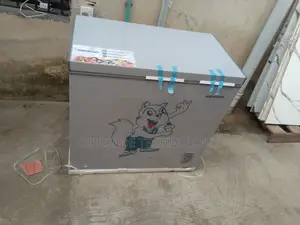 Skyrun BD-250AI 200L Inverter Freezer Convenient Storage Solution