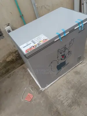 Shop Skyrun BD-250AI 200L Inverter Freezer Today