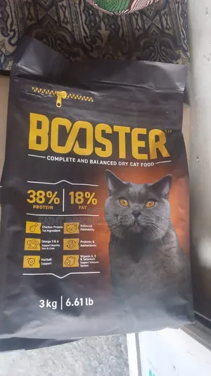 3-6 months Female Purebred Cat