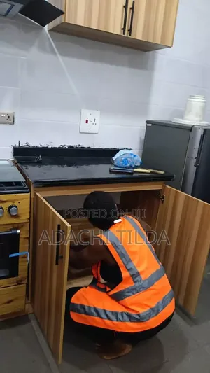 Professional Cleaning Service
