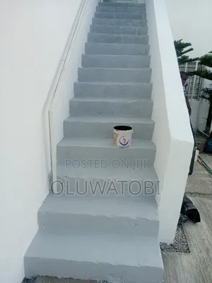Professional Painter