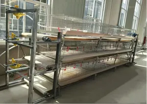 Semi Automatic H-Type Cage