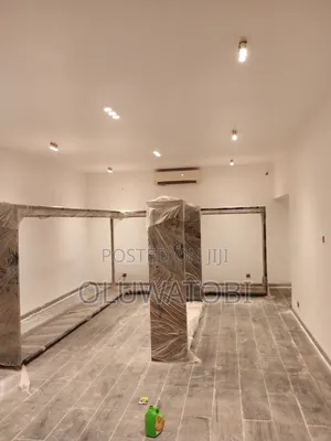 Professional Painter