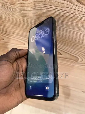 Apple iPhone 13 Pro Max 128 GB Green