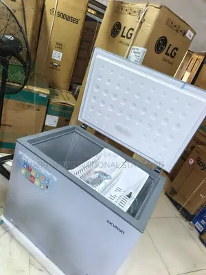 Skyrun 260L Chest Freezer BCD-260A for Home Use