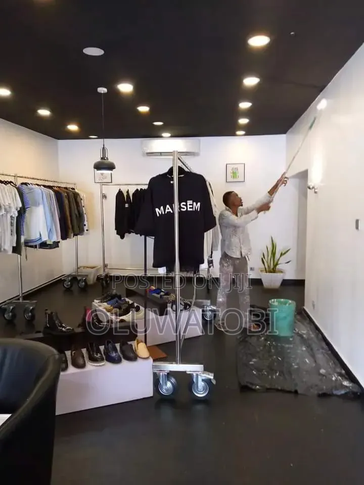 Professional Painter