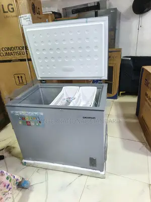 Deep Freezer 260L by Skyrun for Everyday Storage