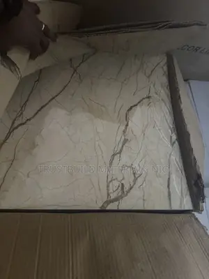 Wall Sticker