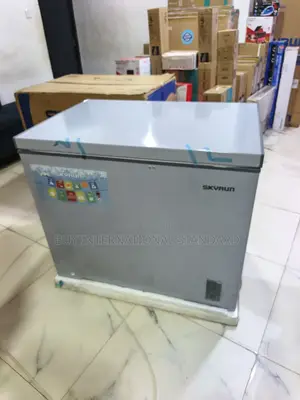 Large-Capacity 260L Freezer From Skyrun