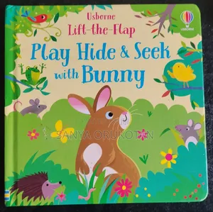 Usborne Lift the Flap . Play Hide & Seek With Bunny