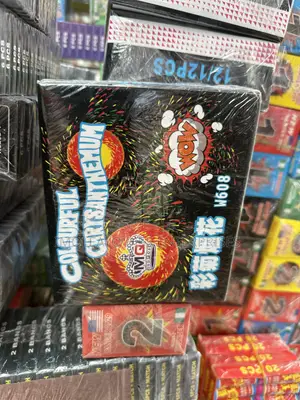 Colorful Chrysanthemum Aka Ajasanre (12 Pack)