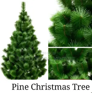 Pine Christmas Tree