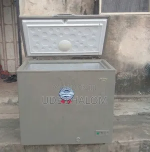 Haier Thermocool Inverter Freezer