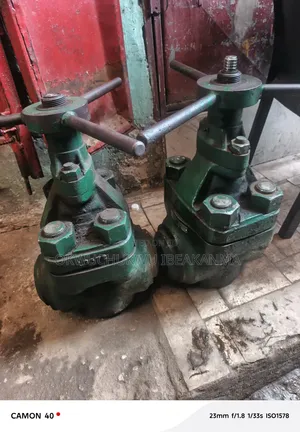 4" Demco Gate Valve