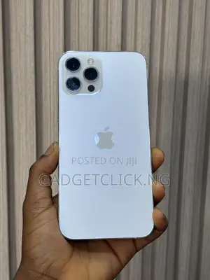 Apple iPhone 12 Pro Max 128 GB Silver