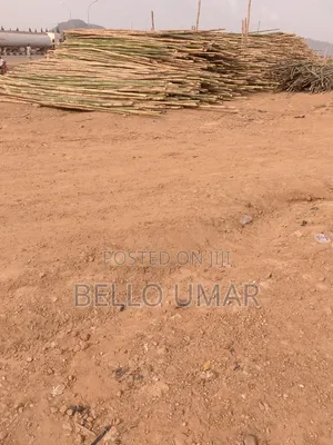 Bamboo Sticks Seller