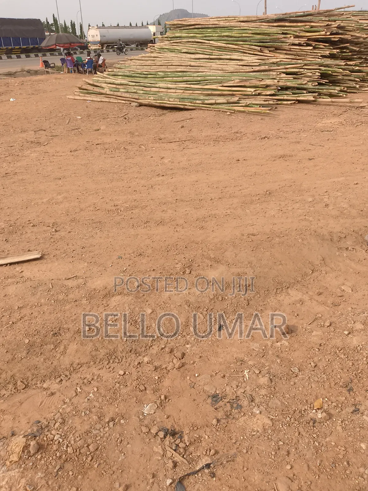 Bamboo for Building