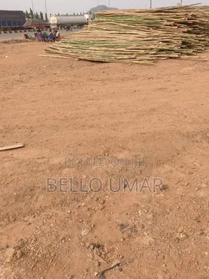 Bamboo for Building