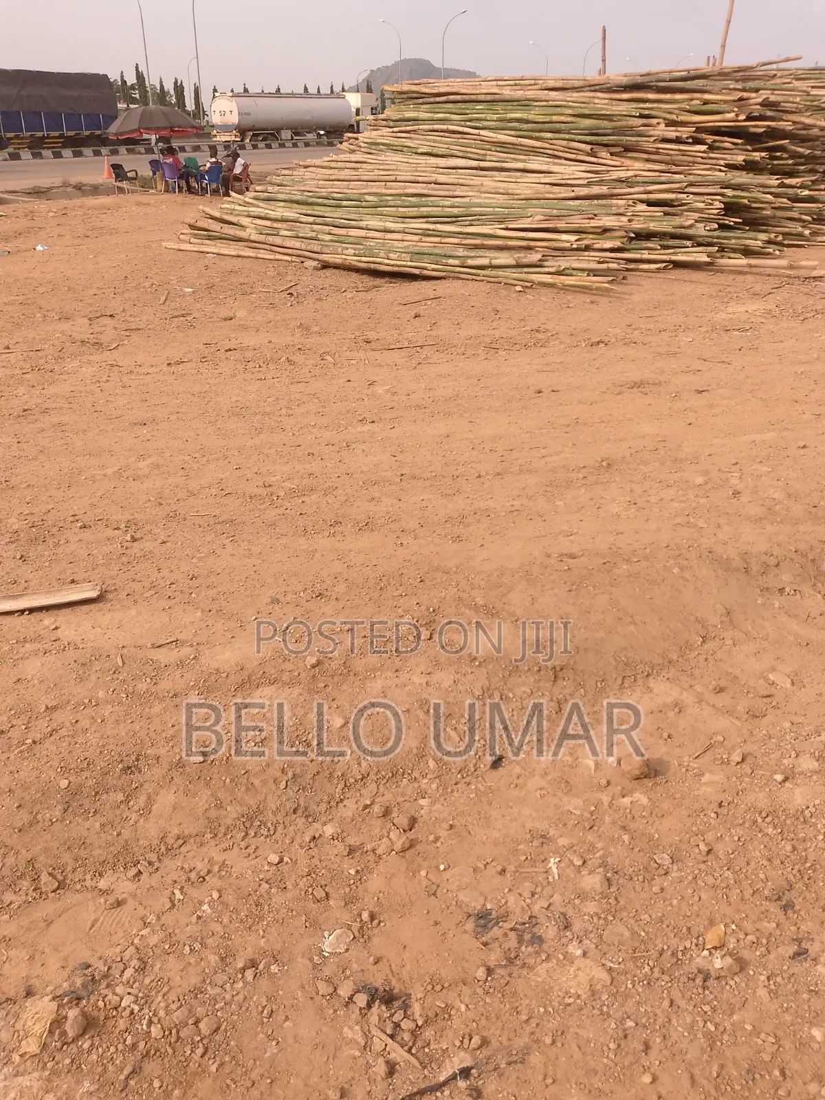 Bamboo for Building