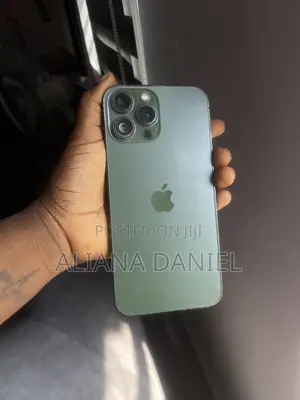 Apple iPhone 13 Pro Max 256 GB Green