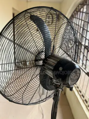 Standing Fan