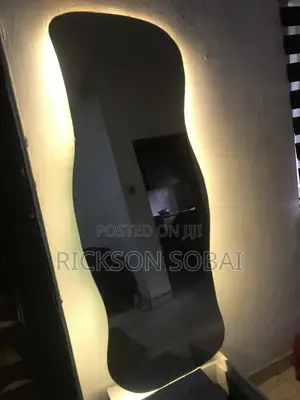 Interior Home Mirror, Amoeba Shaped